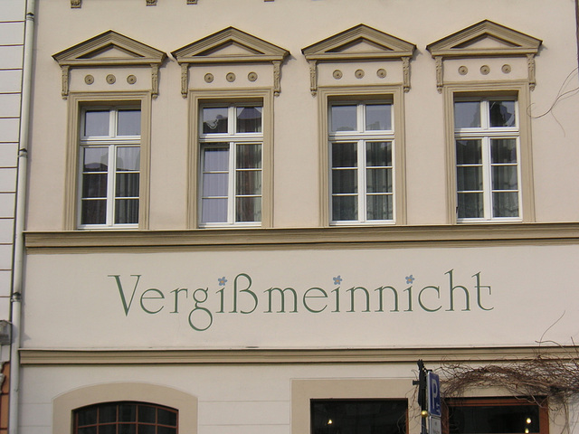 Görlitz - Vergißmeinnicht