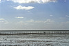 Wadden sea and sky