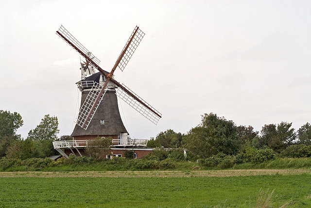 Windmill Oldsum on Föhr island