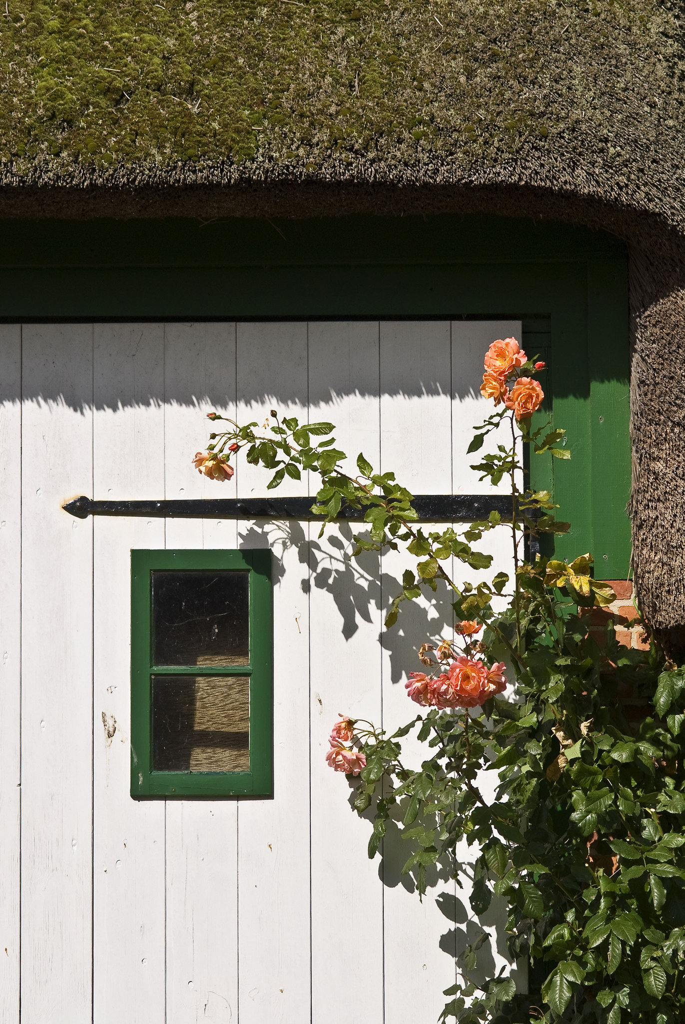 Frisian house on Föhr island
