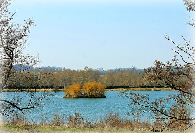 Ile sur étang