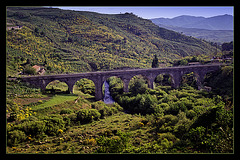 Bow bridge in green countryside