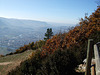 2007 11090039