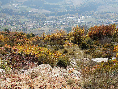 2007 11090041
