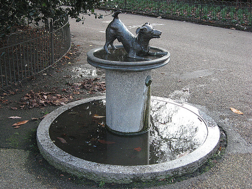 Dog fountain