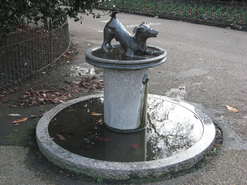 Dog fountain