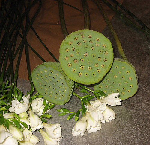 Eaten in Kashmir
