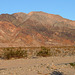Along Badwater Road (3375)