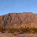 Along Badwater Road (3380)