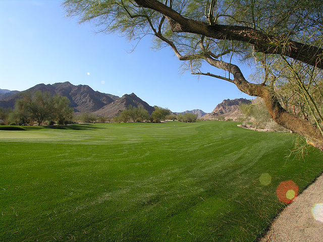 La Quinta golf course (6806)