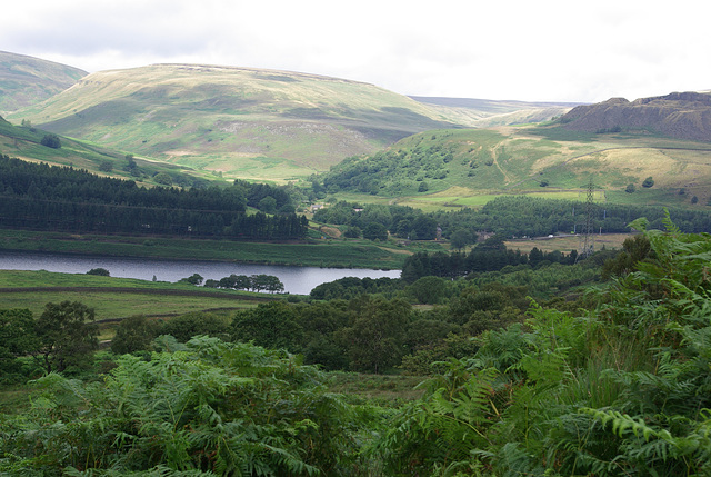 Crowden