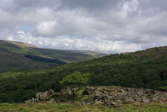 Looking East up Longdendale