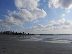 larmor du matin,