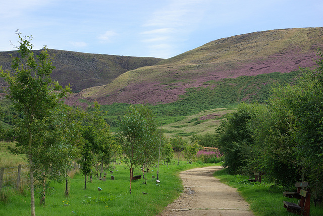 Torside Visitor Centre path