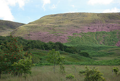 Wildboar Clough from The Longdendale Trail