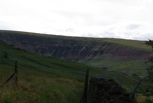 Torside Clough from Wildboar Clough