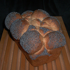Whole-Wheat Sandwich Bread 1