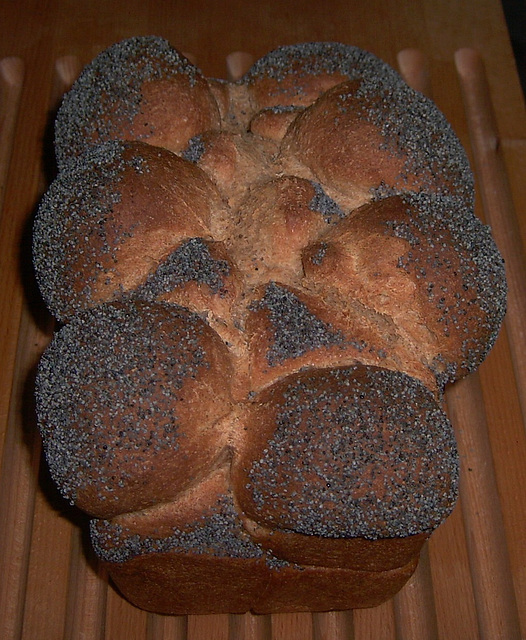 Whole-Wheat Sandwich Bread 3