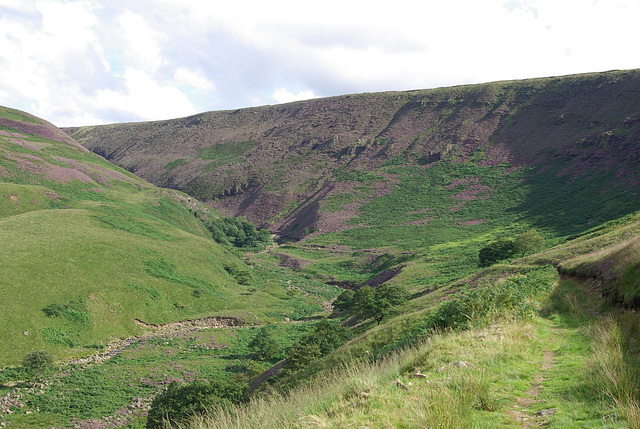 Torside Clough