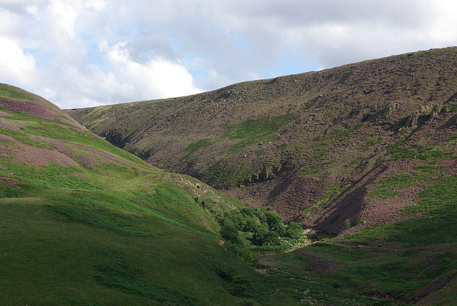 Torside Clough