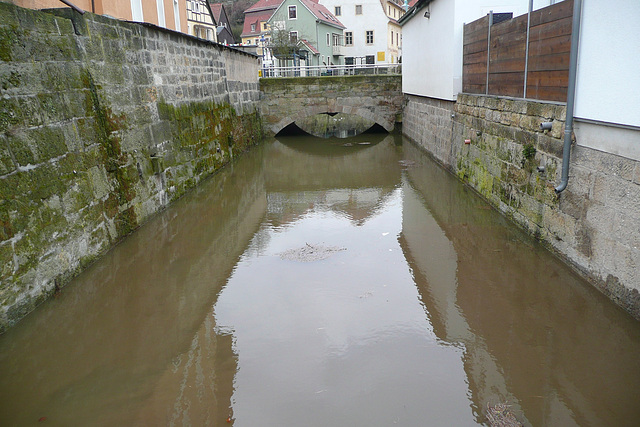 Frühjahrshochwasser bei Wehlen März 2009