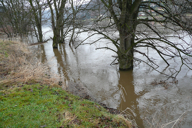 Frühjahrshochwasser März 2009