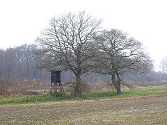 gerade noch innerhalb der Stadtgrenze