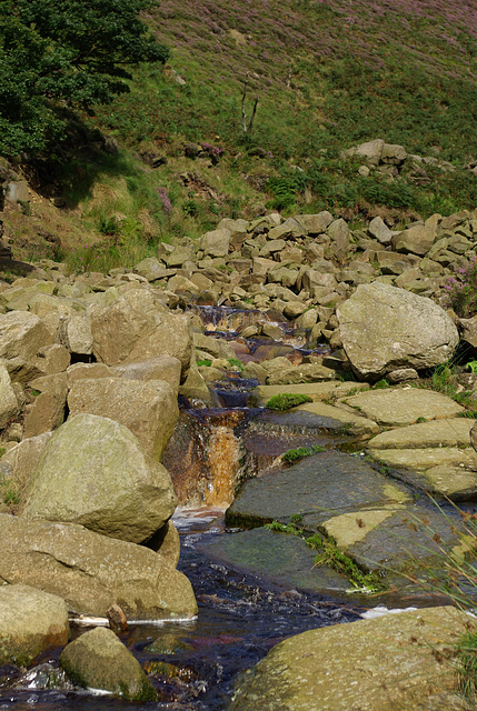 Torside Clough