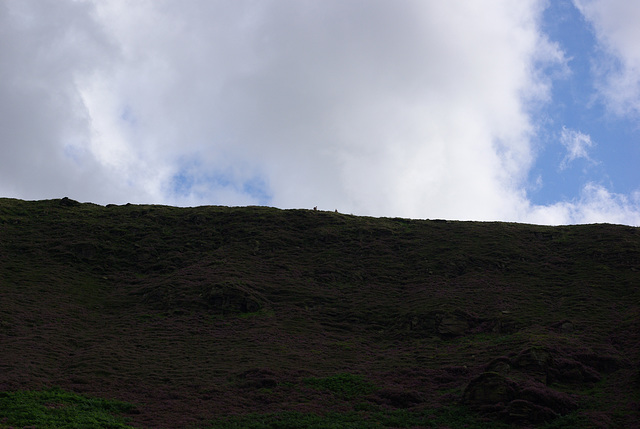 Pennine Way walkers on their way to Bleaklow