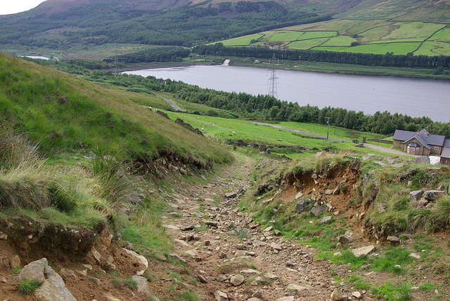 Pennine Way above Reaps Farm, Torside