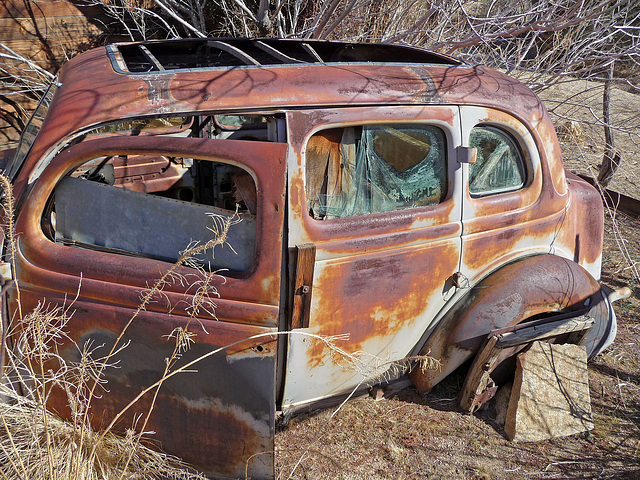 Desert Queen Ranch Chicken Coop Annex (2549)