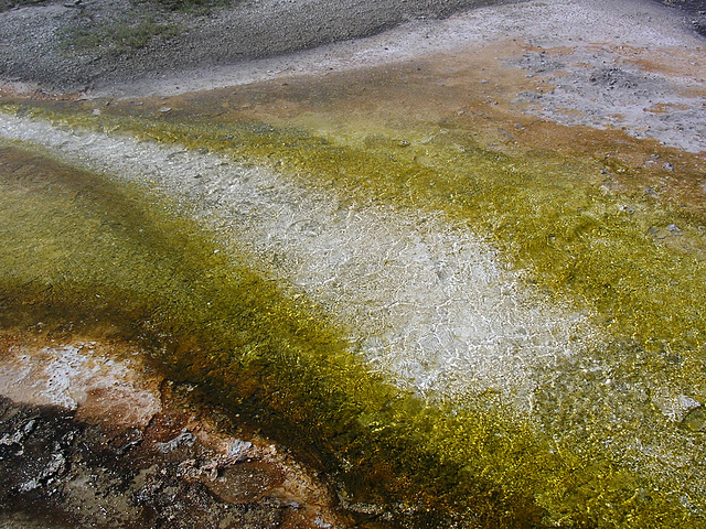 Farben der Natur