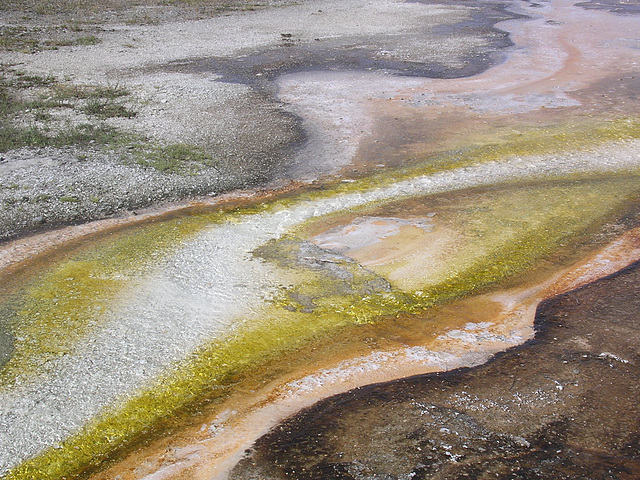 die Natur malt