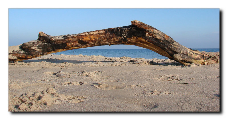 Heute am Strand...