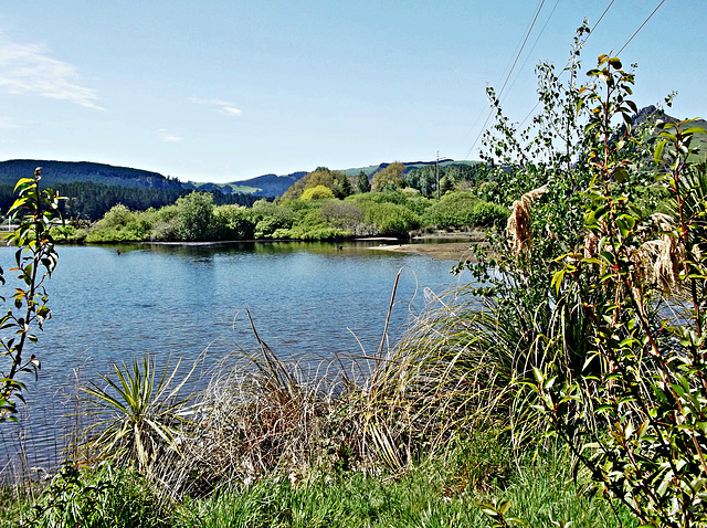 Lake Whakamaru