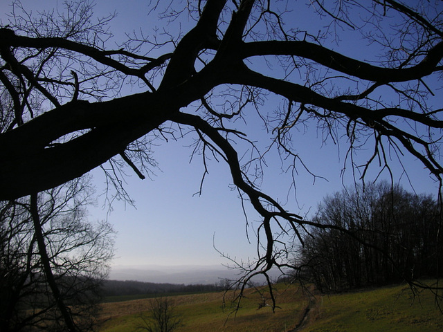 Blick nach Norden