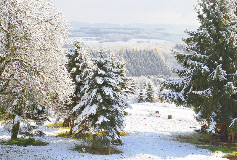 Der erste Schnee | First snow