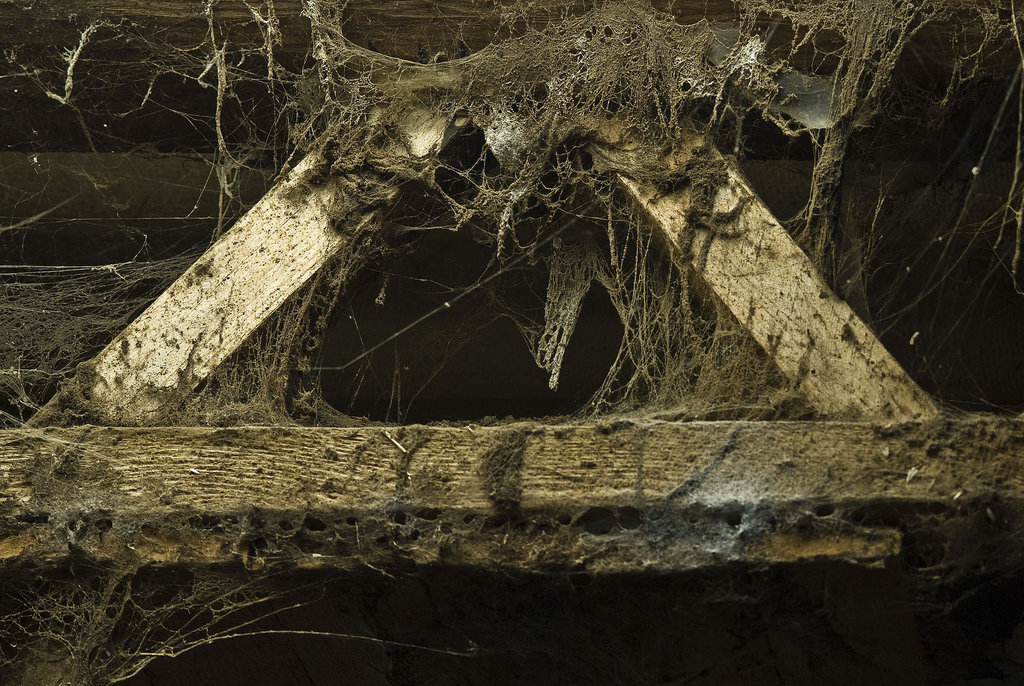 Cobwebs!!!