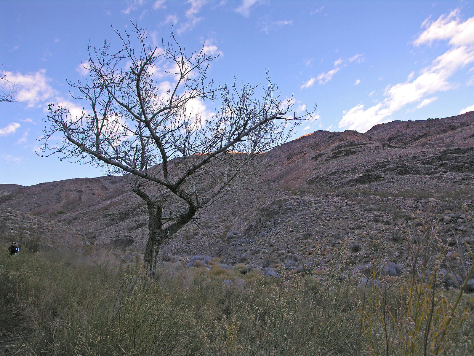 Johnson Canyon (6556)