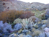 Johnson Canyon (6547)