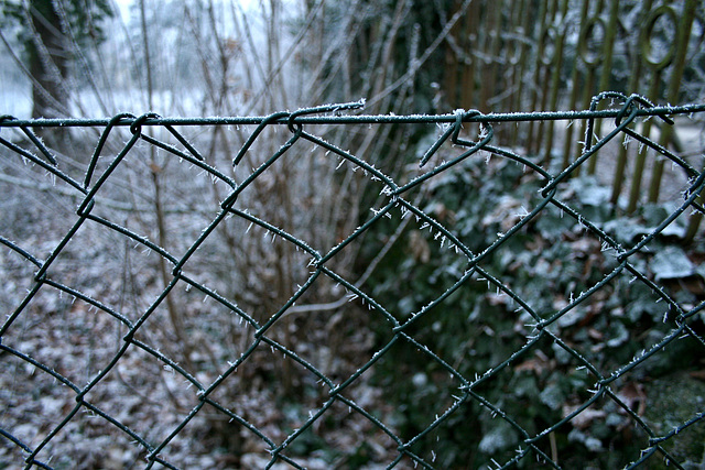 cool fence