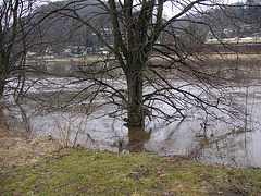 Hochwasser März - April 2006