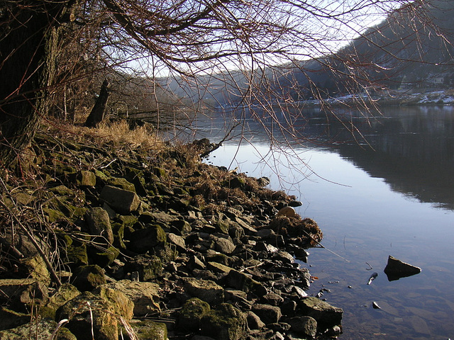 Die Elbe - normaler Wasserstand im Januar 2006