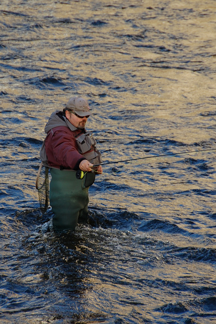 Fishing