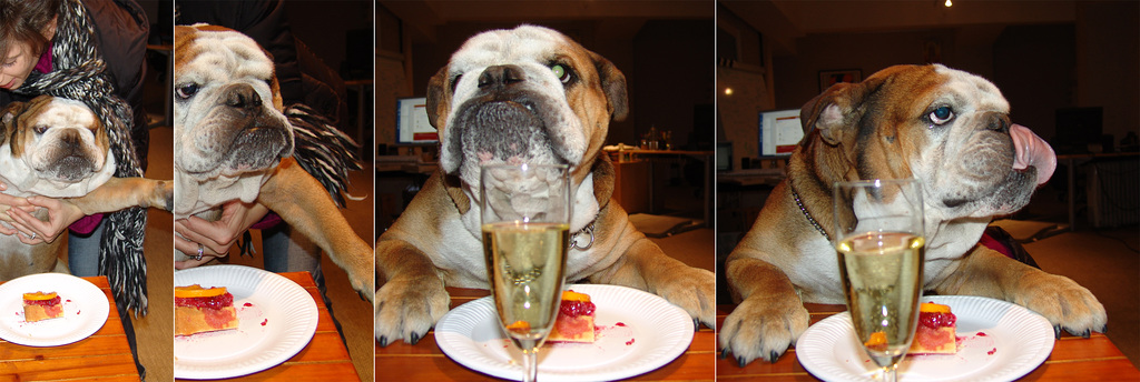 Cake fight won by... Bully!