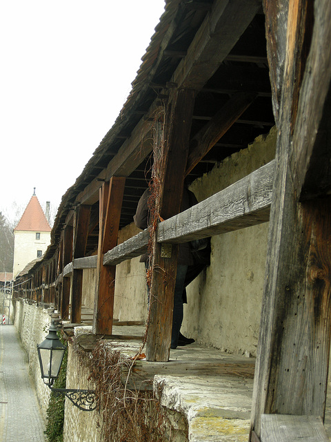 Stadtmauer  Berching