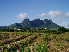 Mauritius024