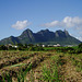 Mauritius024