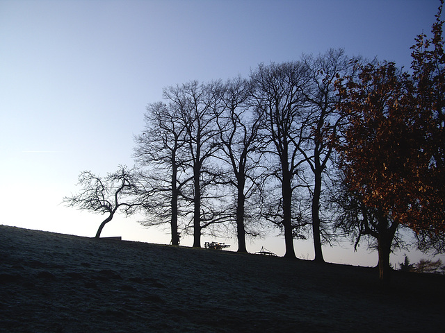 auf die Sonne warten /wait up for the sun