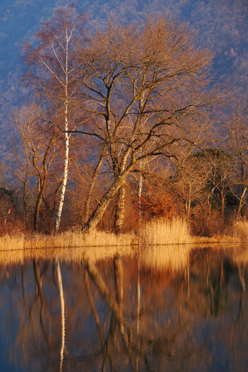 Sunset on the pond
